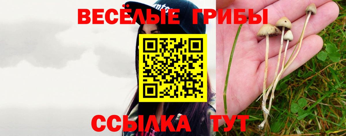 Уссурийск  Галлюциногенные грибы прущие грибы  купить закладку  Вход с VPN  Галлюциногенные грибы Cubensis 